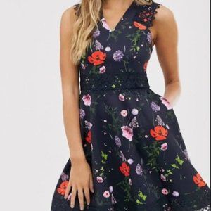 Ted Baker Mayo Skater Dress In Hedgerow Print Medium Ted Baker UK3/ US 8-10